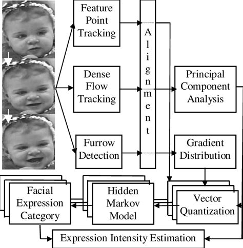 Facial Expressions Diagram