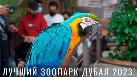 Дубай. Green Planet Dubai. Обзор лучшего зоопарка Грин Планет. Где ...
