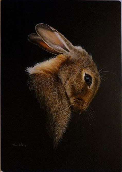 Rabbit Oil Painting at PaintingValley.com | Explore collection of Rabbit Oil Painting