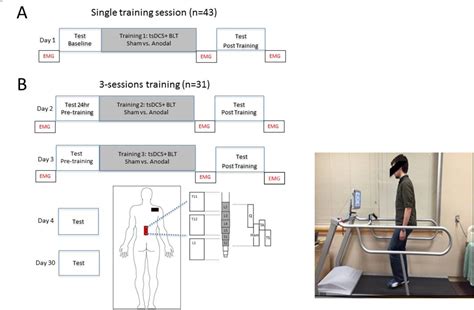 Figure From Transcutaneous Spinal Direct Current Stimulation Improves