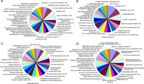 Figure 1 From Platelet Derived Extracellular Vesicles Promote The