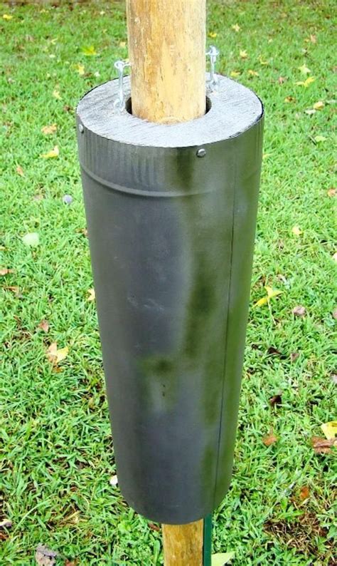 Easy Diy Squirrel Baffle