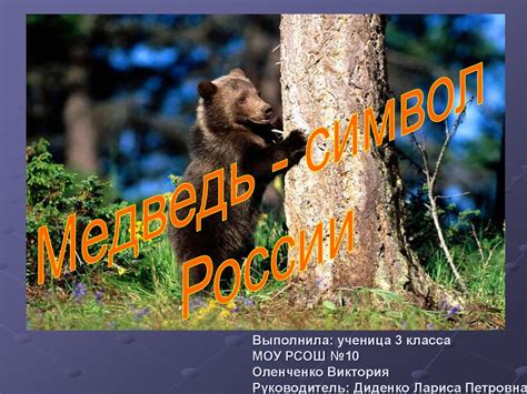 Медведь - символ России - презентация онлайн