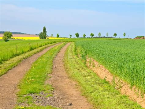 Country Road In Green Field Stock Image Image Of Background Farming