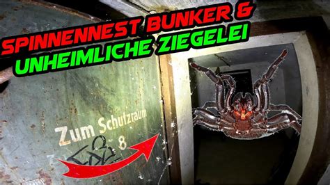 AB IN DEN SPINNENBUNKER TOR ZUR HÖLLE in alter Ziegelei gefunden