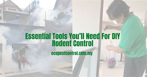 Essential Tools You'll Need For DIY Rodent Control [2024 ]