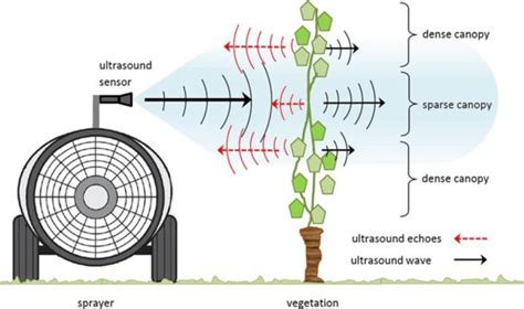 Schematic Diagram Of Canopy Density Measurement With The Ultrasonic