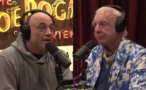 Ric Flair Details Surviving Deadly Plane Crash To Joe Rogan They Didn