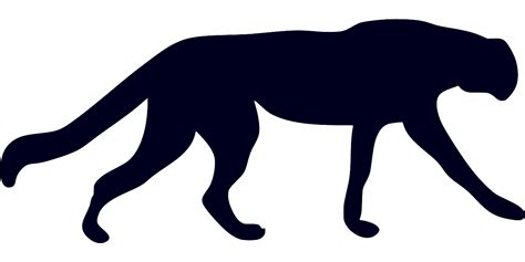 Svg S Ugetier Tier Katze Wilde Katze Kostenloses Svg Bild Symbol