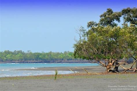 Sundarban National Park - Nature Explorers India