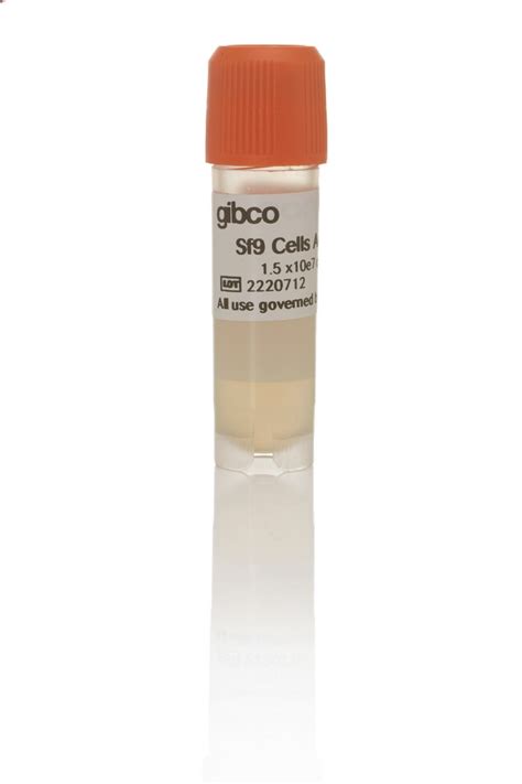 Sf9 cells in Sf-900™ II SFM