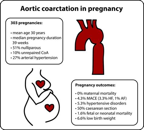 Pregnancy Outcomes In Women With Aortic Coarctation Heart