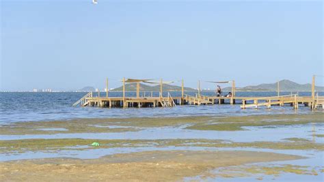 El Aumento De Temperatura Del Mar Menor Por La Ola De Calor Amenaza Los