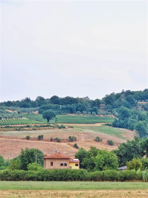 Panoramic Photograph of Haystacks on Field · Free Stock Photo