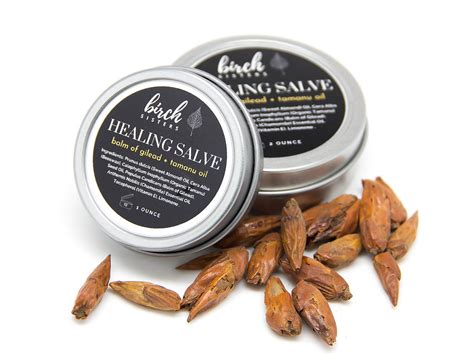 Balm Of Gilead Salve Healing Salve Birch Sisters