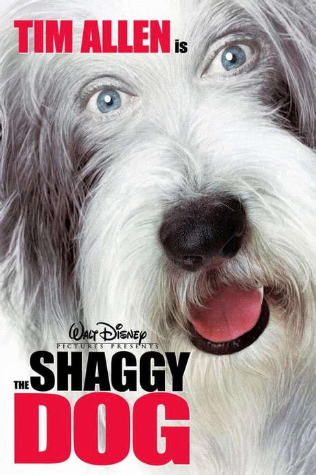 ‎The Shaggy Dog (2006) directed by Brian Robbins • Reviews, film + cast • Letterboxd