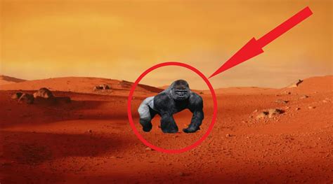 BREAKING: NASA Discoveres Evidence Of Life On Mars : r/lies