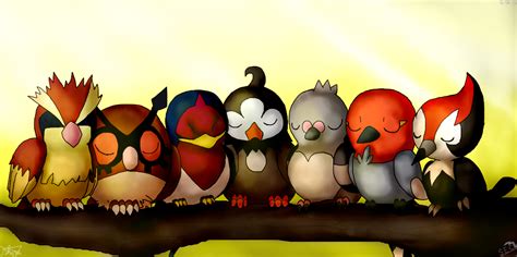 Bird Pokemon by The3Brawlers2014.deviantart.com on @DeviantArt ...