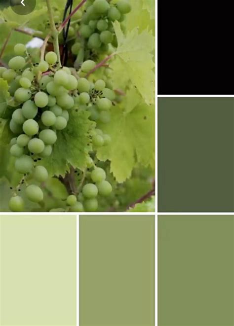 Fresh Hues Design Seeds Artofit