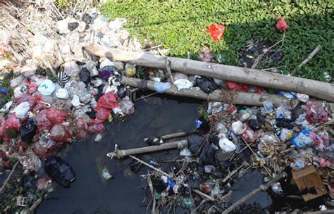 Jangan Lagi Buang Sampah Popok Ke Sungai Ini Dampaknya Mongabay Co Id