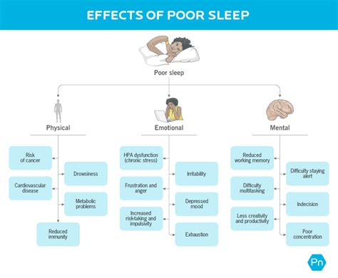 Rest And Recovery 6 Charts Reveal Their Power Fitness Blog