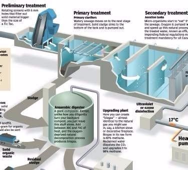 Sewage Water Treatment | Information | Plants