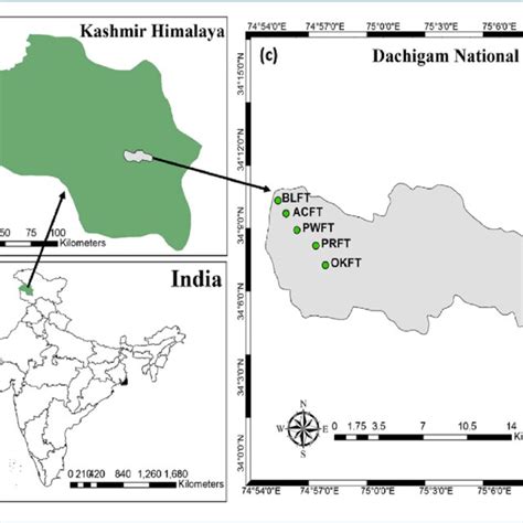 Tree Density Basal Area Dbh Range Average Dbh Seedling And Sapling