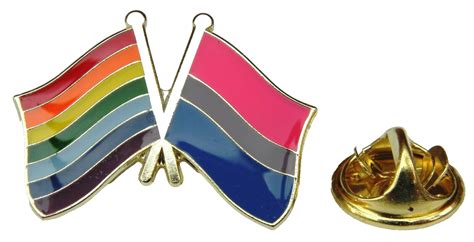 Rainbow And Bisexual Flag Pin Badge Lgbt Friendship Pride Brooch Gay Ebay