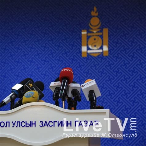 Төсвийн шинжээч
