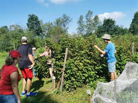 Un Camp De R Pit Offert Par Un Organisme De Beloeil