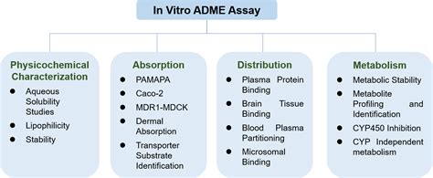 Adme And Pharmacokinetic Services Creative Bioarray