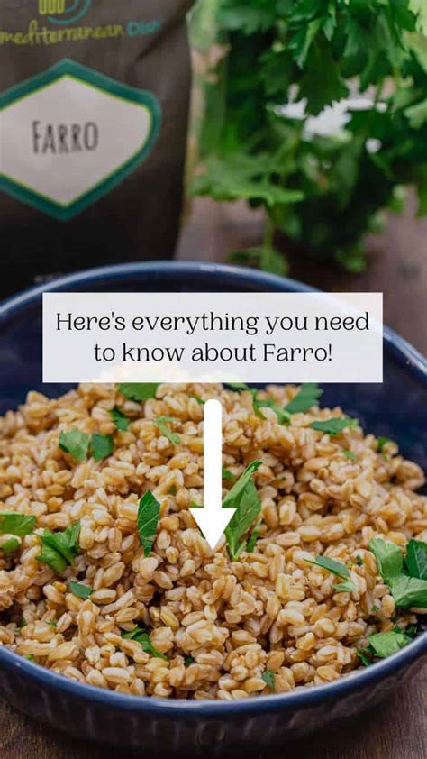 What Is Farro And How To Cook It The Mediterranean Dish