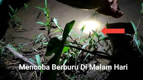 Mancing Belut Di Sawah Malam Malam Memang Mantap Youtube