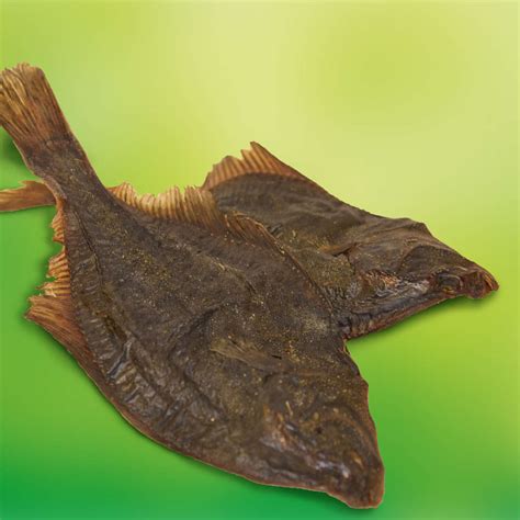 Flunder - ganzer Fisch (20-25cm) I Original-Leckerlies