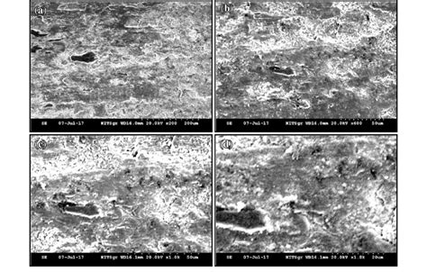 Wear Micrographs Of Worn Surfaces A G0 B G1 C G2 And D G3