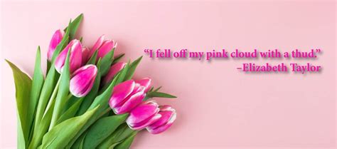 National Pink Day 2024 Wishes Images Quotes And Messages