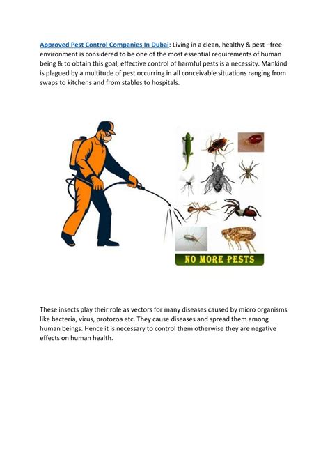 Ppt Approved Pest Control Companies In Dubai Powerpoint Presentation Id11059779