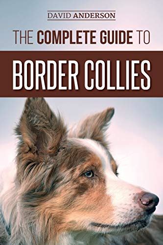 The Complete Guide To Border Collies Training Teaching Feeding