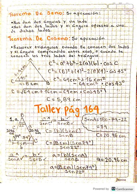 SOLUTION Teorema Del Seno Y Coseno Ejercicios Studypool