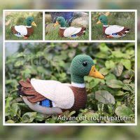 10 Crochet Mallard Duck Patterns Crochet News