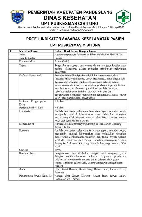 Profil Indikator Mutu Prioritas Pemerintah Kabupaten Pandeglang Dinas Kesehatan Upt Puskesmas