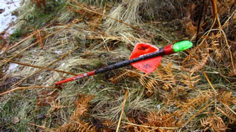How To Blood Trail Deer