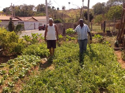 Terreno baldio vira horta comunitária no Assad Alcici PCI