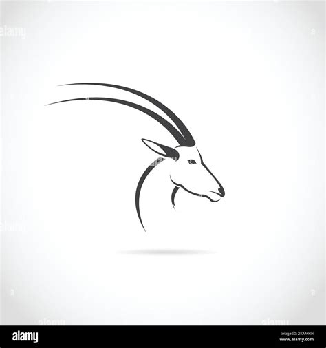 Vector Image Of A Deer Head Impala On White Background Easy Editable