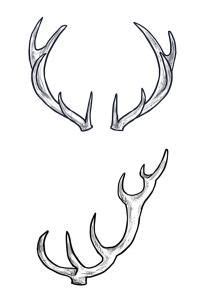 18 How To Draw Antlers LiusaidhAmira