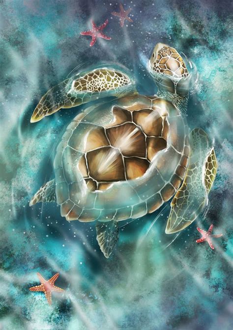 Top 999+ Turtle Wallpapers Full HD, 4K Free to Use