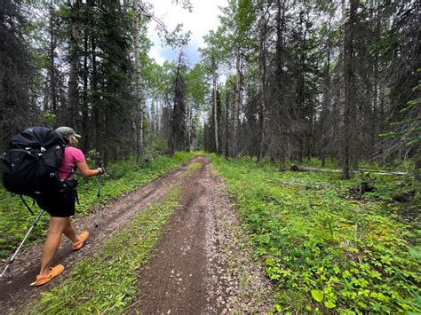 Cottonwood Trail | Yukon's Hiking Guide | yukonhiking.ca