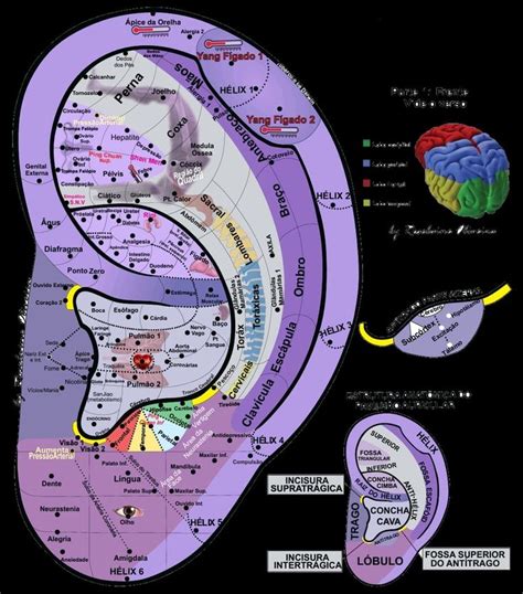 Pin De Aneris Em Acupuntura Medicina Chinesa Pontos De Acupuntura