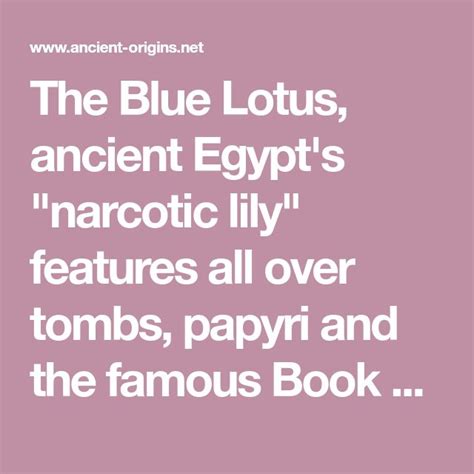 The Blue Lotus Ancient Egypts Harotic Lily Features All Over Tombs