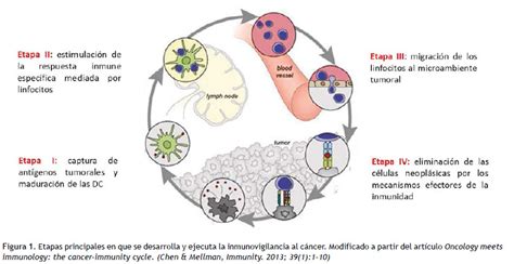 Inmunolog A Del C Ncer I Bases Moleculares Y Celulares De La Respuesta